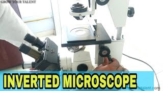 Inverted Microscope  inverted microscope principle  inverted microscope for cell culture  G Y T [upl. by Raseac804]