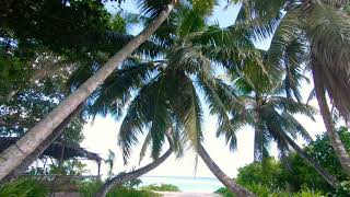 Anse Royale Beach Mahe Seychelles [upl. by Reivilo]