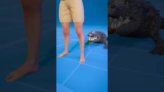 How To Escape An Alligator Death Roll 😨  Melon Playground alligator [upl. by Enovahs]