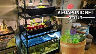 Aquaponic NFT System [upl. by Irollam]