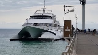 Tangalooma Island Morton Island day tour from Brisbane [upl. by Bevvy610]