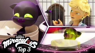 MIRACULOUS  🐞 PLAGG 🔝  SEASON 1  Tales of Ladybug and Cat Noir [upl. by Eitisahc808]