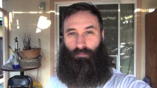 Timelapse Growing a beard for 365 days [upl. by Ajnot459]