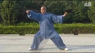 完美的 陈式太极拳老架一路 Once of the best Chen Style Old Form Tai Chi Quan [upl. by Corvin]