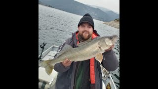 Fall Walleye Fishing Lake Roosevelt 48 lbers [upl. by Aehtla]