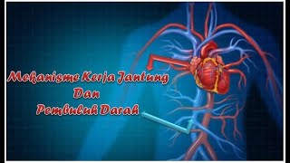 Mekanisme kerja jantung dan pembuluh darah [upl. by Imas498]