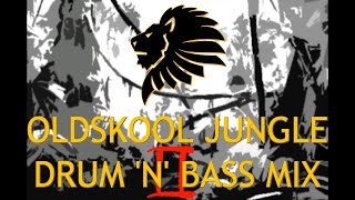 Oldskool Jungle Drum n Bass Mix Pt II 9495 [upl. by Nilsoj253]