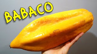 BABACO  Trying a Rare Ecuadorian Fruit Related to Papaya  Weird Fruit Explorer [upl. by Ahkihs]