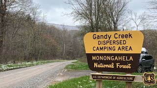 Free Dispersed Camping at Gandy Creek Monongahela NF WV [upl. by Carolann853]