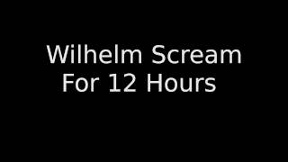 Wilhelm Scream For 12 Hours [upl. by Rosalia]