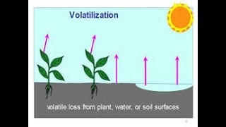 What is volatilization [upl. by Eanaj]