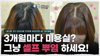 단돈 ‘5000원’ 으로 집에서 셀프 뿌염 성공하는 방법  염색빗 꿀팁🌸 내주제에 Ep 24 l HOW TO COLOR YOUR ROOTS AT HOME [upl. by Eugor]