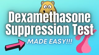 Dexamethasone Suppression Test  EXPLAINED CLEARLY [upl. by Ramoh]