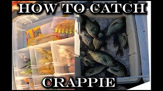 How to Catch Crappie Saint Johns River Central Florida [upl. by Inna]