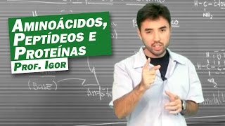 Química  Aminoácidos Peptídeos e Proteínas [upl. by Tenaj]