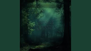 Jungle Classics Jungle Drum and Bass [upl. by Castor]