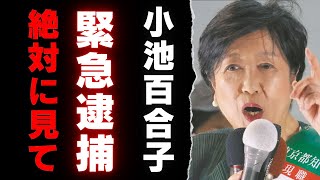 【絶対見て】小池百合子、公職選挙法の疑いで緊急逮捕の可能性が浮上 【東京都知事選挙】 [upl. by Yelnikcm]