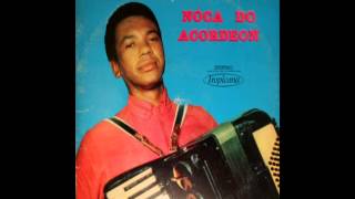 Noca do Acordeon toca BAIÃO DA SAUDADE de Noca do Acordeon e Leonel Cruz  1961 [upl. by Velma]