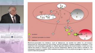 When and How to Use Iron Chelation Therapy in MDS [upl. by Watt]