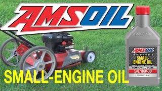 AMSOIL Synthetic Small Engine Oil 10W30 amp Fuel Stabilizer [upl. by Ecnarf]