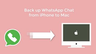 How to Back up WhatsApp Chat from iPhone to Mac [upl. by Garda]