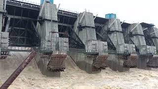 Polavaram Dam Project Latest video Water Full [upl. by Ydnolem]