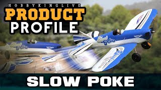 Durafly SlowPoke 1200mm 472 PnF  HobbyKing Product Profile [upl. by Tinya]