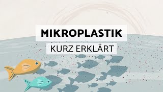 quotMikroplastikquot kurz erklärt  Schaebens [upl. by Cornelie960]