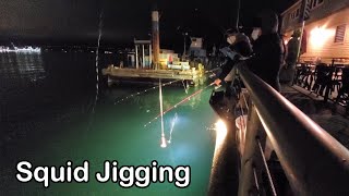 CATCHING SQUIDS AT SEATTLE WATERFRONT  Puget Sound Squid Fishing  Squid Jigging At Night [upl. by Karee454]