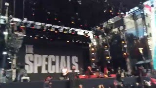 The Specials  Rat Race El plaza condesa  Vive latino [upl. by Omissam]