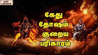 Rahu Ketu Dhosham And Pariharam  Unknown Facts Tamil [upl. by Hairakcaz]