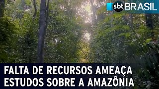 Falta de recursos ameaça estudos sobre a Amazônia  SBT Brasil 100224 [upl. by Downall301]