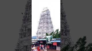 The Beauty of Annavaram Temple sri veera venkata sathyanarayana swami templeannavaramtemple [upl. by Findlay468]