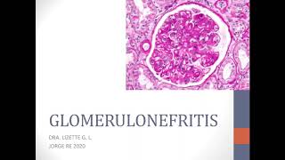 Glomerulonefritis  ENARM [upl. by Alfeus463]