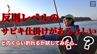 エサ無しで釣れると噂のサビキを使ってみたら…驚異の釣れっぷりに現場が大パニック。これは取扱注意の反則仕掛けなのかもしれない。 [upl. by Anauqaj407]