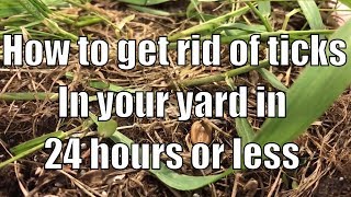 How to get rid of ticks in your yard in 24 hours or less [upl. by Lramaj144]