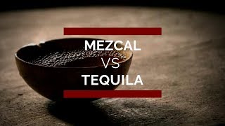 Mezcal vs Tequila Principales Diferencias ¡ Conócelas [upl. by Trinia]