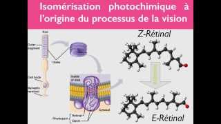 Géométrie des molécules  33 [upl. by Rihana]