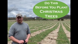 Christmas Tree Farming How we prepare our fields for planting Christmas Trees [upl. by Gwyn]