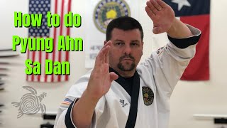 How to do Pyung Ahn Sa Dan for Tang Soo Do [upl. by Ardnasirhc]