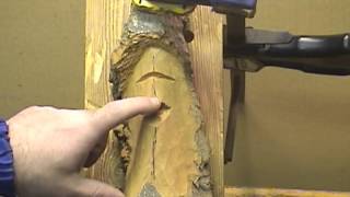 How To Carve A Wood Spirit Face With Hand Tools 3 [upl. by Esilanna]