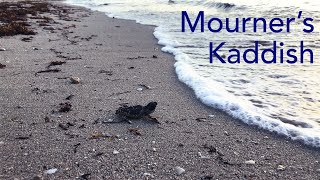 Mourners Kaddish a tribute to Grandpa John [upl. by Arvind]