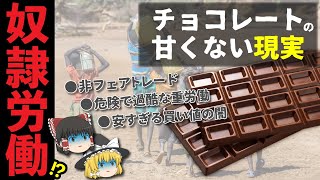 【ゆっくり解説】100円でチョコレートが食べられるのは何故フェアトレードマークが重要な理由について [upl. by Chara]