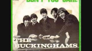 The Buckinghams DONT YOU CARE [upl. by Kaycee]