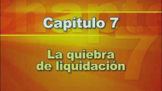 Fundamentos del Proceso de Quiebra  II Parte Tipos de Quiebra [upl. by Eibbor]