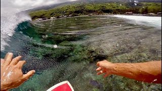 Theo amp Friends surfing with dolphin SaintLeu 974 Reunion island [upl. by Ihdin]