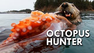 Sea Otter The Octopus Hunter [upl. by Ahsikit]