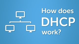 DHCP Explained  Step by Step [upl. by Bolme]