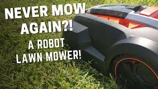 Are ROBOT Lawn Mowers any Good  MowRo Robotic Lawn Mower Review 🌱 [upl. by Gnouv320]