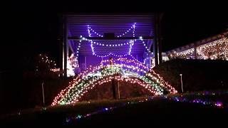 Rainbow Springs State Park Christmas Lights  2019 [upl. by Hillhouse]